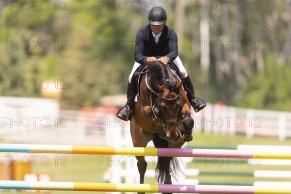 Will Simpson of the United States and riding Imar, compete in the 1.60m Grand Prix during The Continental international competition at Spruce Meadows, in Calgary, Canada, North America