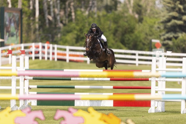 Jose Antonio Chedraui Eguia of Mexico, riding Con-Cor compete in the 1.60m Grand Prix during The Continental international competition at Spruce Meadows, in Calgary, Canada, North America
