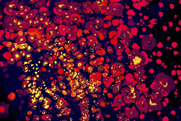 Abstract creative marbling pattern for fabric, design background texture