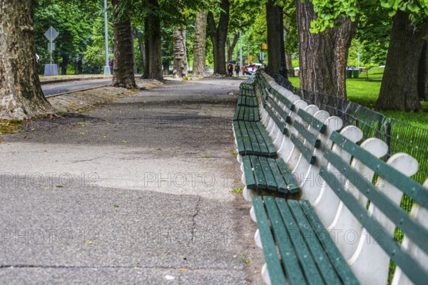 Central Park bench. Shooting Location: New York, Manhattan