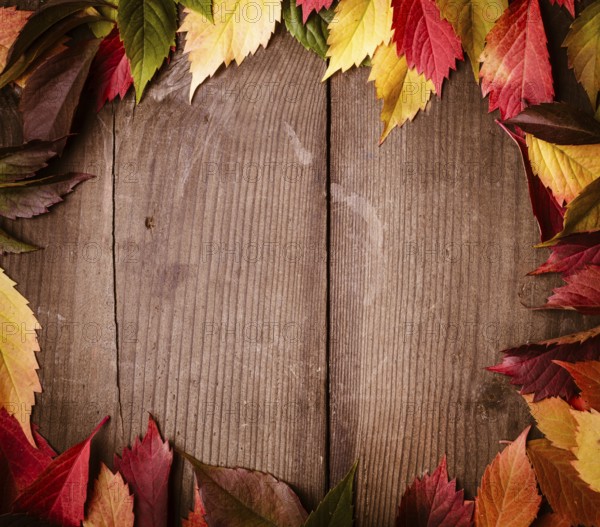 Frame from autumn leaves on the wooden background