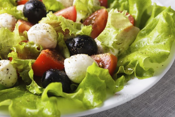 Fresh salad with mozarella cheese and vegetables