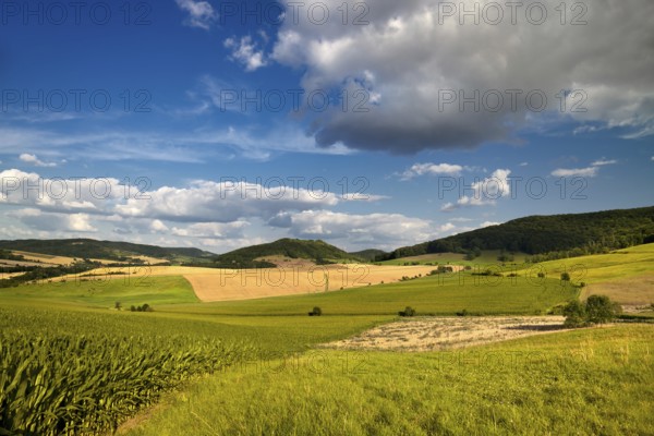 Summer landscape near Jena with cloudy blue sky
