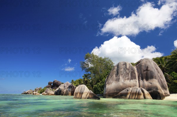 La Digue, Palm tree beach, Seychelles, Indian Ocean, Palm trees, La Digue, Indian Ocean, Seychelles, Africa