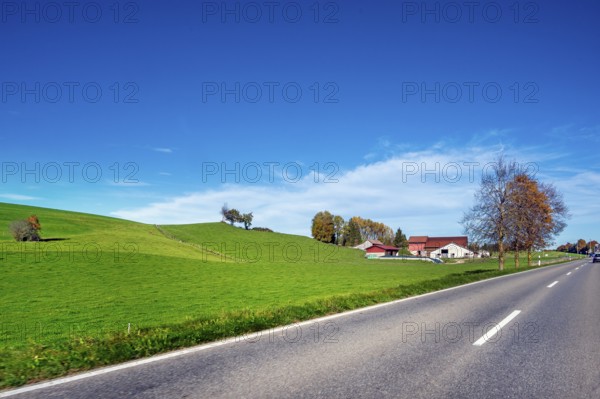 Autumn country road, meadows, trees and farm, blue sky near Leutkirch, Allgäu, Bavaria, Germany, Europe