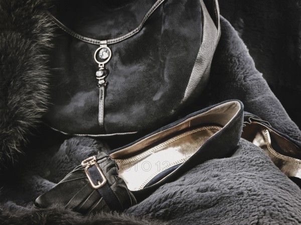 Woman wear accessories: fashionable handbag and shoes at fur