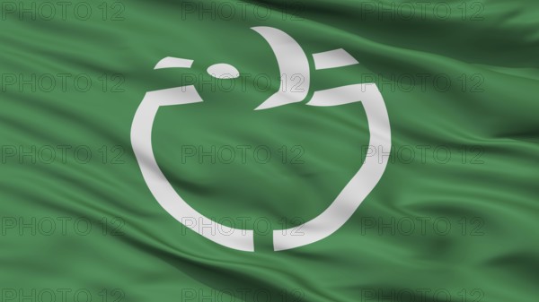 Sodegaura City Flag, Country Japan, Chiba Prefecture, Closeup View