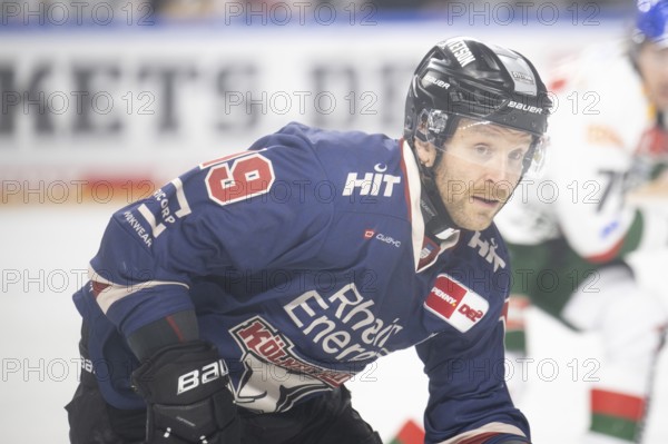 Laura Dick Cologne, LanxessArena, North Rhine-Westphalia, Frederik Storm (Cologne Sharks, #19), PENNY DEL, Cologne Sharks-Augsburg Panthers on 08/12/2024 at the LanxessArena in Cologne Germany