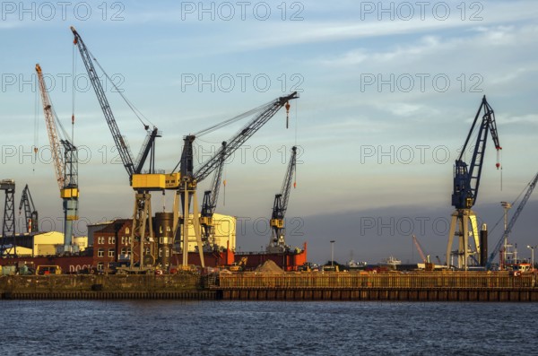 Harbour cranes on the Elbe - Port of Hamburg