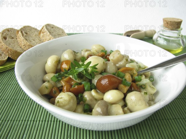 Mushroom salad with button mushrooms and mallard mushrooms