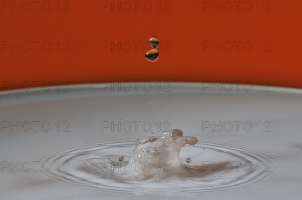 A beige water droplet hits the water surface and creates a small splash on an orange background, water droplets, collision, highspeed photography, concept, water figures