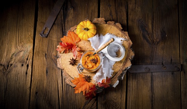 An autumnal rustic pumpkin
