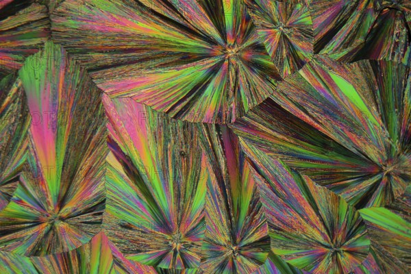 Gadolinium is a rare earth element. The crystals are precipitated from a solution on a microscope slide and photographed in polarized light