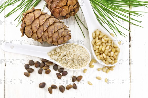 Cedar flour and peeled nuts in two spoons, two cones, a green cedar branch on background of a light wooden board from above