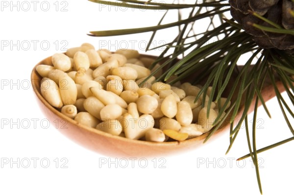 Pine nuts, lodz, poland