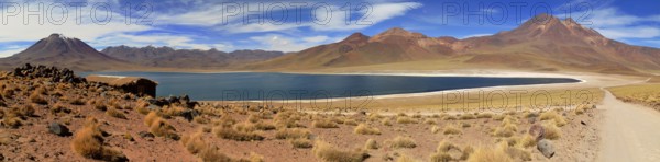 Laguna Miscanti in the Atacama Desert in Chile