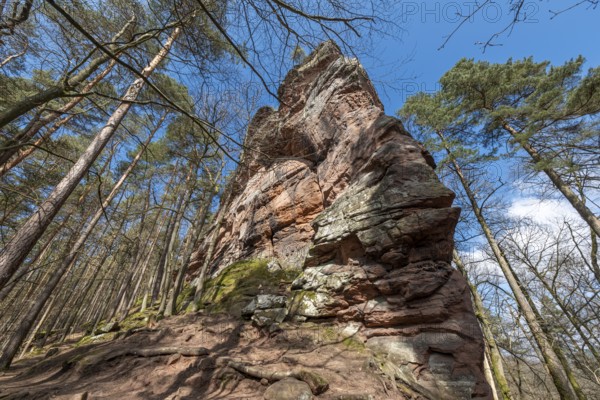Geiersteinfelsen, Geierstein, Palatinate Forest, Bruchweiler-Bärenbach, Rhineland-Palatinate, Germany, Europe