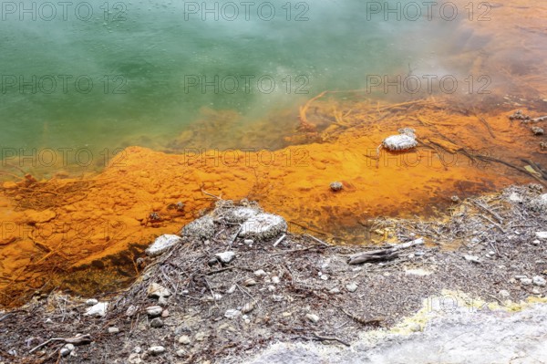 An image of the hot sparkling lake in New Zealand
