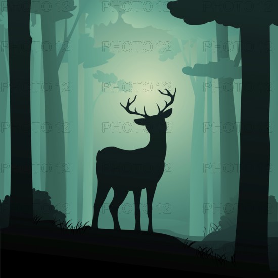 Roebuck in the forest