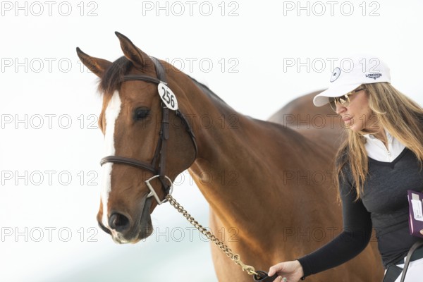 Horses, grooms and riders take part in the vet check assessing the health of the horse before competition begins at the Longines Global Champions League event in Miami Beach, Florida, USA, North America