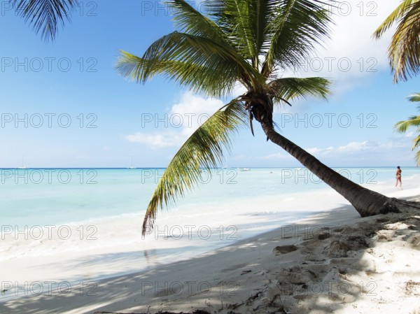 Tropical beach in Dominican republic. Caribbean sea
