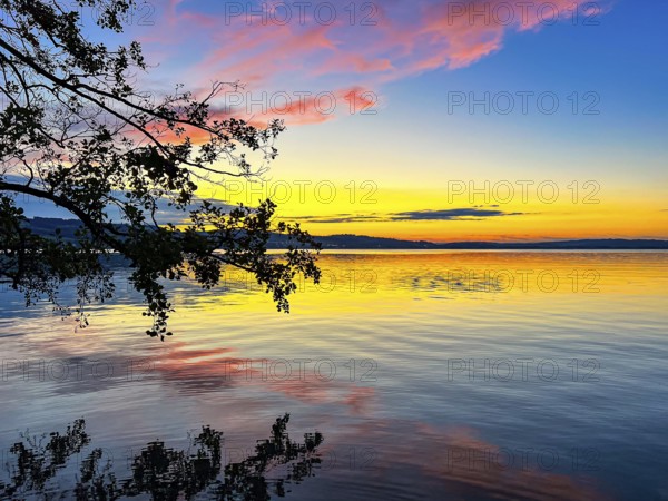 Colourful sunset on Lake Sempach with pink and blue sky reflections in the water, Sempach, Lucerne, Switzerland, Europe