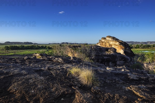 View of the Nadab Floodplains from Nadab Lookout, Ubirr, Kakadu National Park, East Alligator Region, Northern Territory, Australia, Oceania