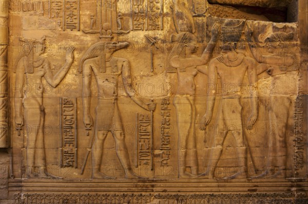 Hieroglyphic carvings on the exterior walls of an ancient egyptian temple