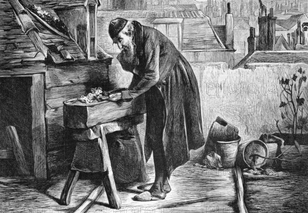 A London garden on engraving from 1870 by I.Roberts published in the Graphic