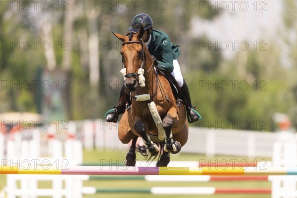 Abdulrahman Alrajhi from Saudi Arabia and riding Heartbeat W, compete in the 1.60m Grand Prix during The Continental international competition at Spruce Meadows, in Calgary, Canada, North America