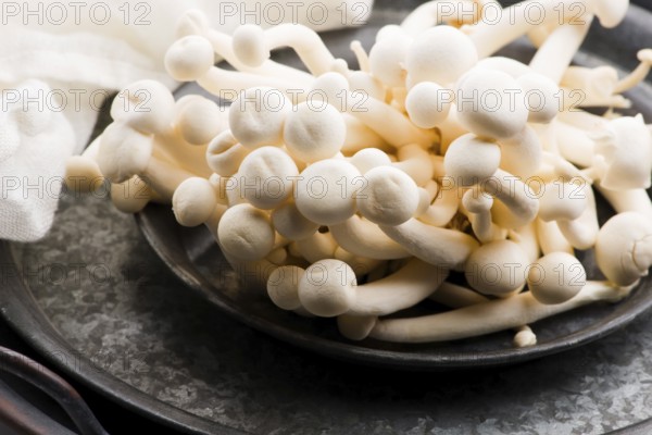 White beech mushrooms, Shimeji mushroom