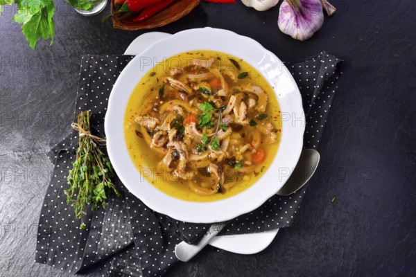 Traditional Politur-style tripe soup with beef and vegetables