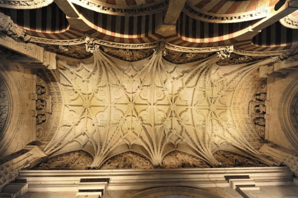 La Mezquita, Mosque, Cathedral of Cordoba, Cordoba, Andalusia, Spain, Europe, Elaborately designed stone ceiling pattern in a historic building, Europe