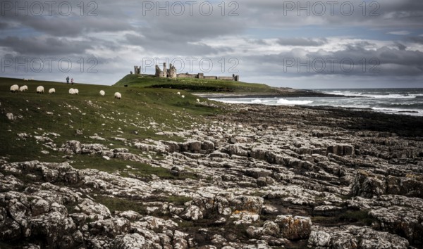 The ruins of Dunstanburgh Castle sits high along the rocky coastline of Northumberland County and The North Sea in north east England, not far from the Scotish border