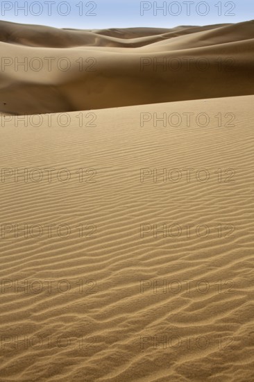 Desert dunes sand in Maspalomas Gran Canaria at Canary islands