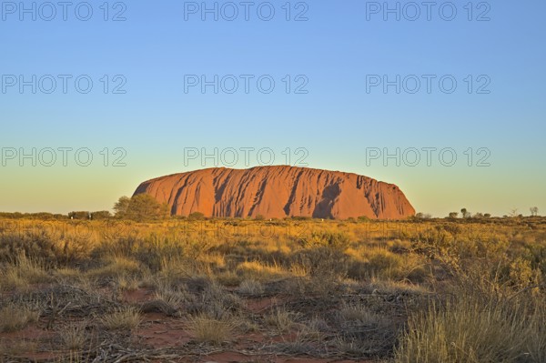 Ayers Rock or Uluru respectively at sun set. Photo shot in 2020