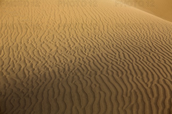 Desert sand dunes texture in Maspalomas Gran Canaria at Canary islands