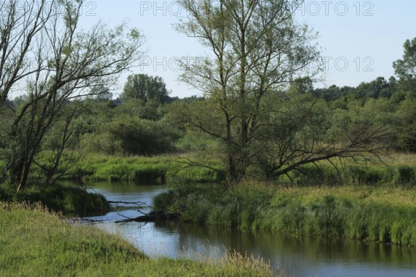 The Sude and tributaries of the Elbe in the Suden lowlands between Boizenburg and Besitz. The Elbe dyke foreland with its wetlands belongs to the Elbe River Landscape Biosphere Reserve