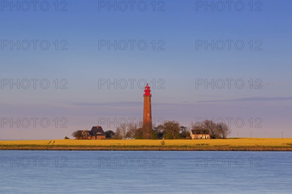 Flügge, Fluegge lighthouse in flowering rape field at sunset on Fehmarn island in the Baltic Sea in spring, Ostholstein, Schleswig-Holstein, Germany, Europe