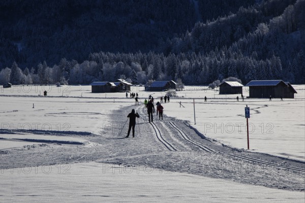 Winter landscape in the snow, cross-country skier on cross-country trail through snowy landscape, Oberstdorf, Oberallgäu, Allgäu, Bavaria, Germany, Europe