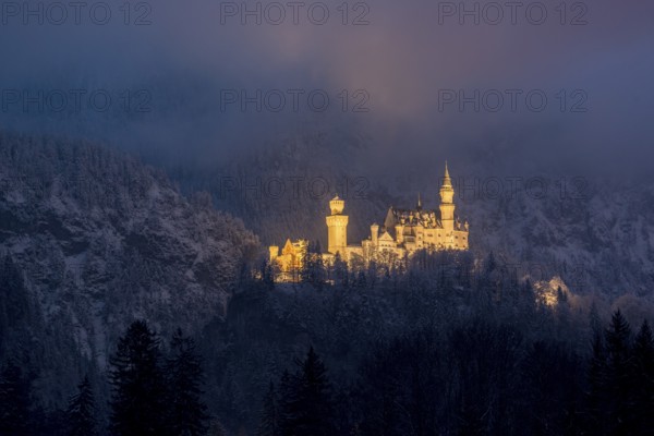 A mysteriously illuminated castle rises above a snow-covered forest in the evening mist, Neuschwanstein, Schwangau, Ostallgäu, Allgäu, Swabia, Upper Bavaria, Bavaria, Germany, Europe