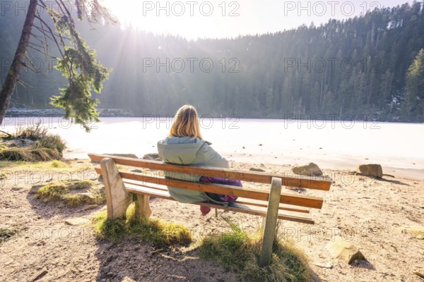 Woman sitting on a bench by a frozen lake, surrounded by a brightly lit, wintry forest, Glaswaldsee, Bad Rippoldsau-Schapbach, district of Wolfach, Black Forest, Germany, Europe