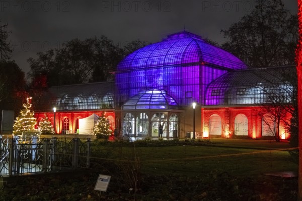 The Winter Lights will take place in the Palmengarten in Frankfurt from 7 December 2024 to 12 January 2025. Almost 30 light installations await visitors along a circular route. An eleven-strong team spent four days laying around twelve kilometres of cable and installing 700 spotlights. Frankfurt am Main, Palmengarten, Hesse, Germany, Europe