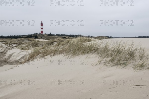 Dune landscape with lighthouse, Süddorf, Amrum, Schleswig-Holstein, Germany, Europe