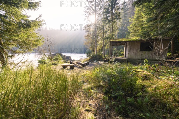 A simple hut on the edge of the forest with a view of a sunny lake, surrounded by forest, Glaswaldsee, Bad Rippoldsau-Schapbach, Wolfach district, Black Forest, Germany, Europe