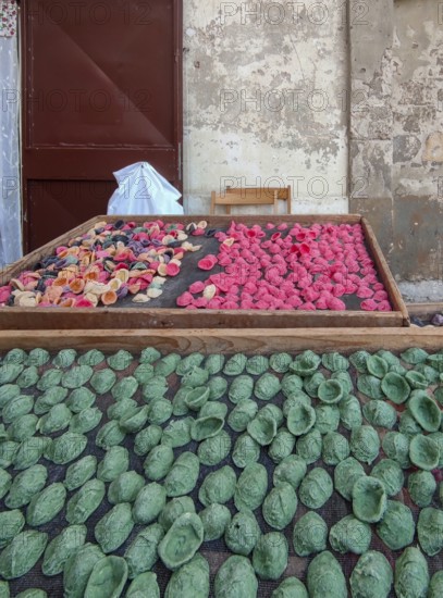 Colourful fresh pasta orecchiette for sale, Bari, Apulia, Southern Italy, Italy, Europe