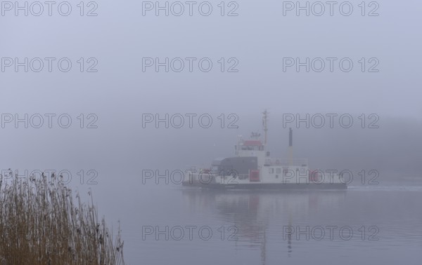 Ferry Hochdonn sailing in fog in the Kiel Canal, NOK, Kiel Canal, Schleswig-Holstein, Germany, Europe