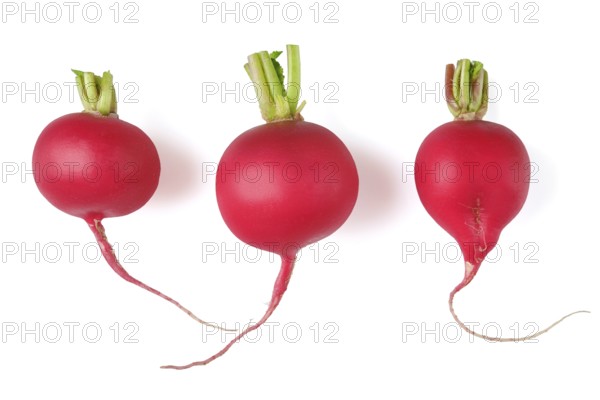 Three fresh red radishes are arranged side by side, each with bright green tops and distinct shapes. Their vibrant red skin contrasts against the white background, emphasizing their freshness
