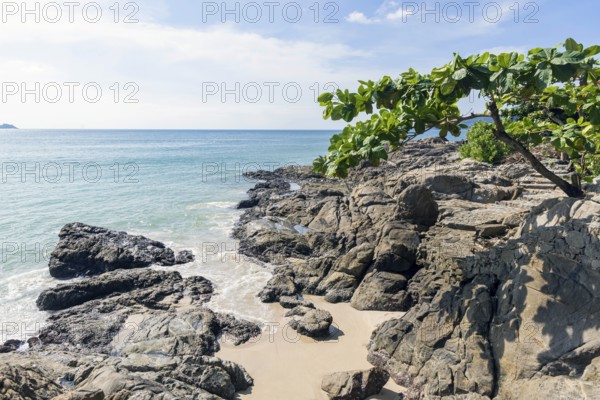 Secluded beach with palm trees and rocks on the coast facing the Indian Ocean. Patong, Kathu, Phuket Island, Thailand, Asia