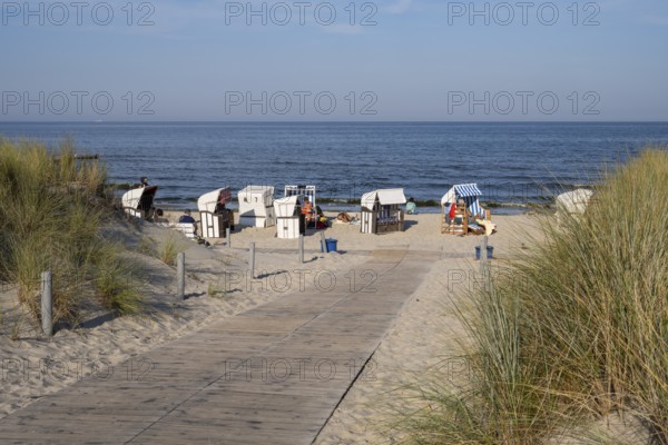 Path made of wooden boards between the dunes, beach chairs on the sandy beach, Loddin, Usedom Island, Baltic Sea, Mecklenburg-Western Pomerania, Germany, Europe